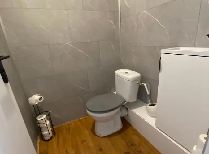 Grey Cosy * 卢维耶