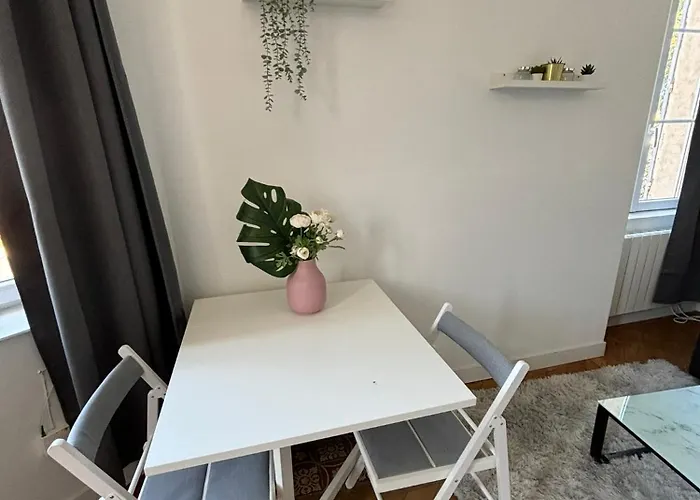 Grey Cosy 公寓 卢维耶